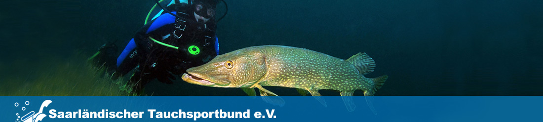 Logo Saarländischer Tauchsportbund e.V. | zurück zur Startseite